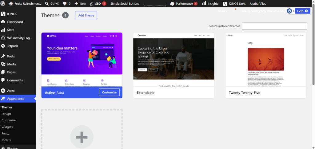 Screenshot showing Astra theme active in WordPress.